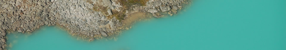 lee-groat-banner-2